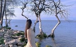 床戏合集bilibili电影